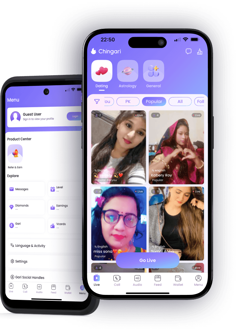 Chingari app interface